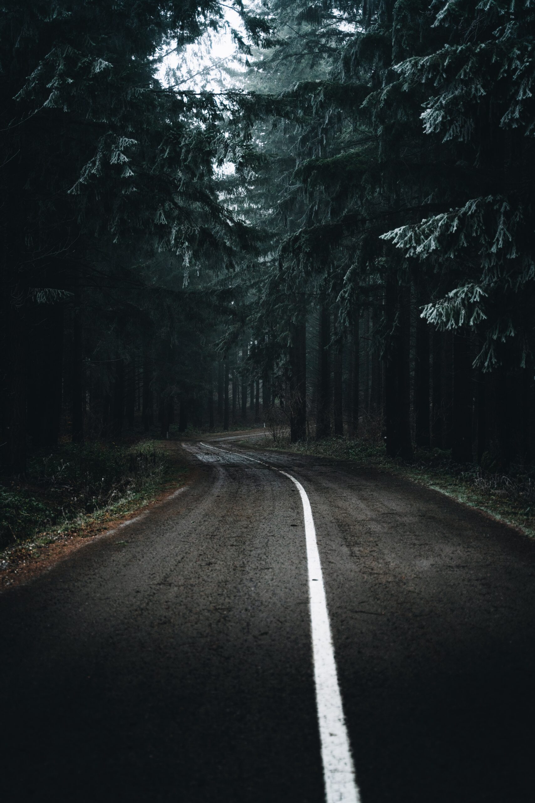 Djordje Vukojicic Photography captures the simplicity and beauty of a road lined with trees, creating a tranquil and scenic path through nature.