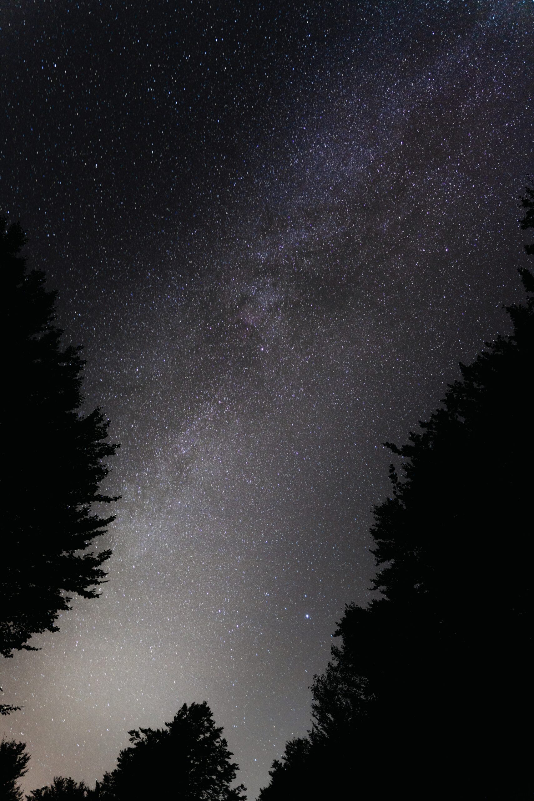 Djordje Vukojicic Photography captures the magic of the night sky, revealing a stunning tableau of stars above a peaceful forest.