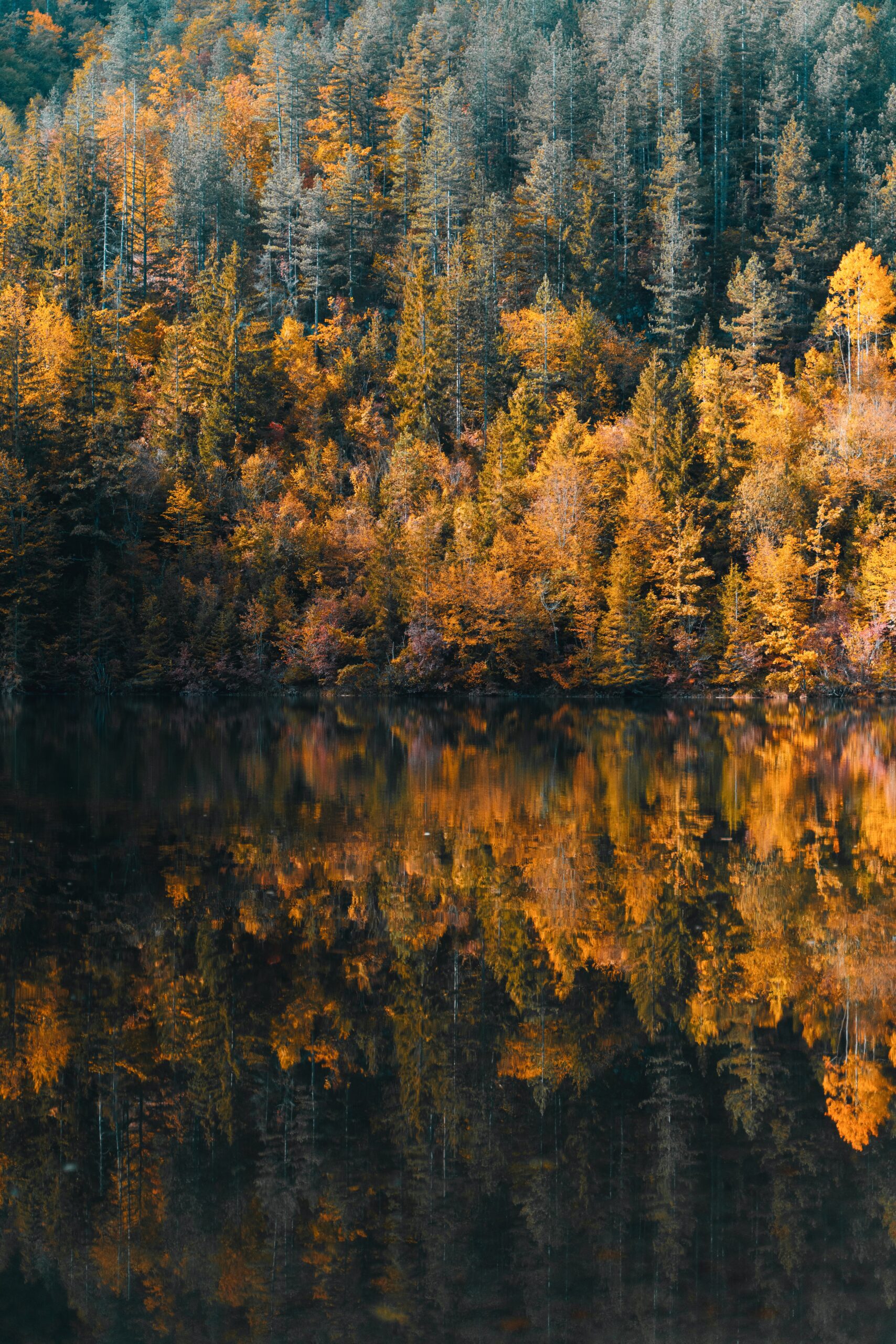  Immerse yourself in nature's tranquility with Djordje Vukojicic Photography - a picturesque scene of a peaceful body of water surrounded by vibrant trees and falling leaves.