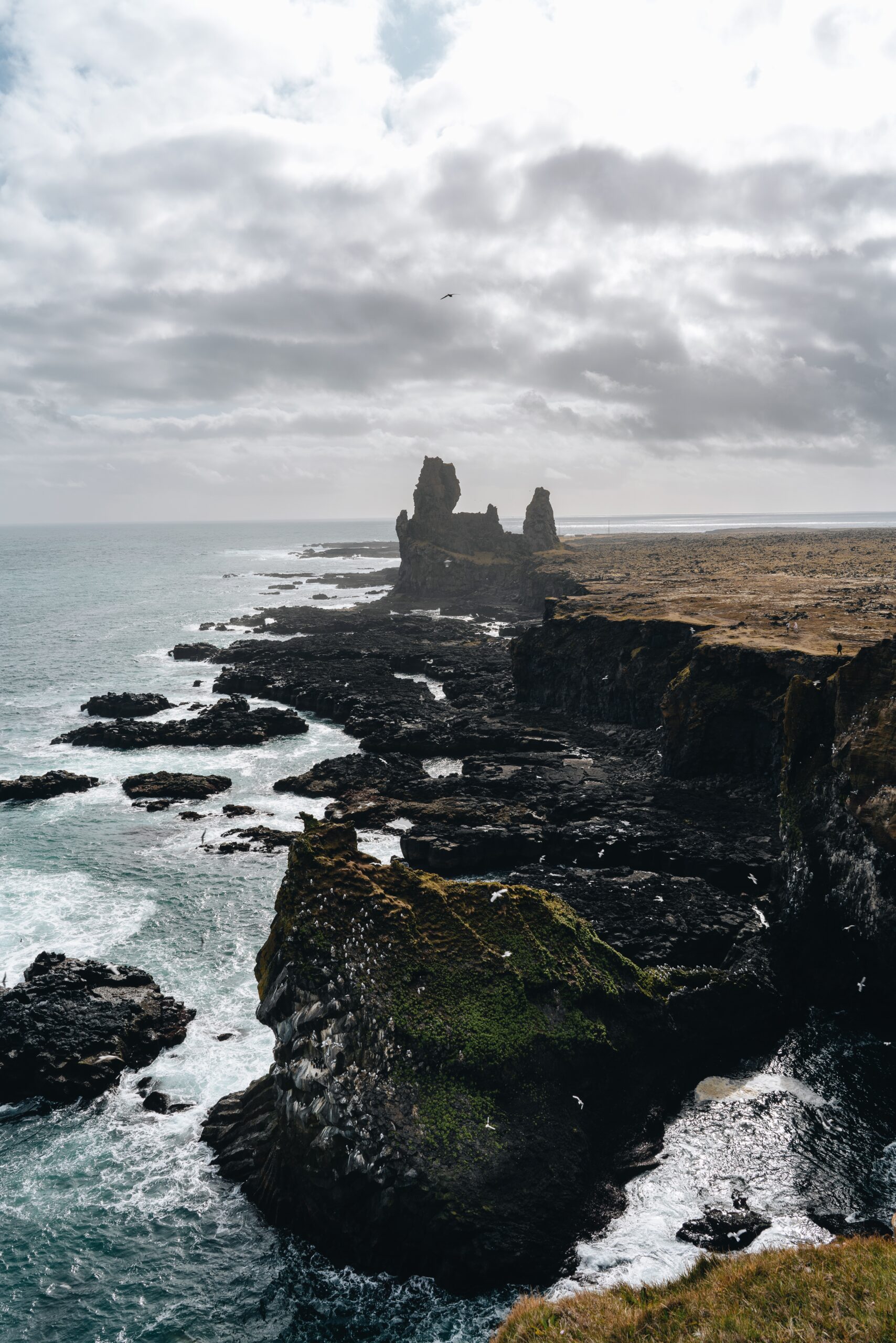 Experience the coastal allure through Djordje Vukojicic Photography's lens - a rocky coastline harmonizing with a tranquil body of water, accompanied by a graceful bird in flight.